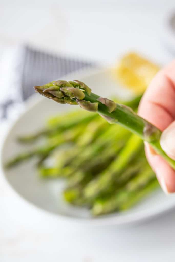Close up of a spear of steamed asparagus.