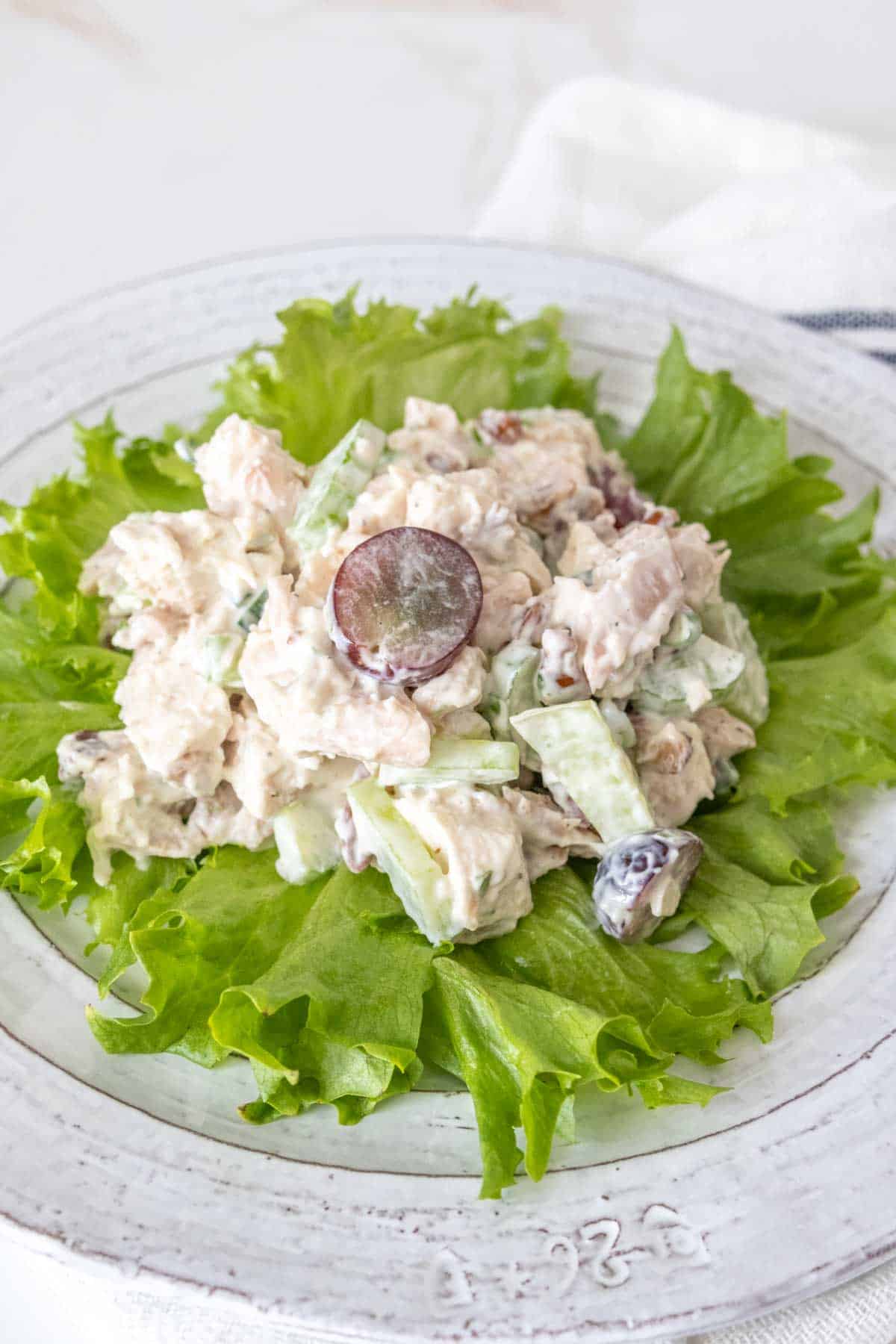 Scoop of chicken salad on a bed of lettuce leaves.