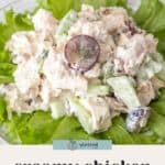 A serving of creamy chicken salad with grapes and celery is placed on a bed of green leaf lettuce, blending savory flavors with a touch of sweetness.