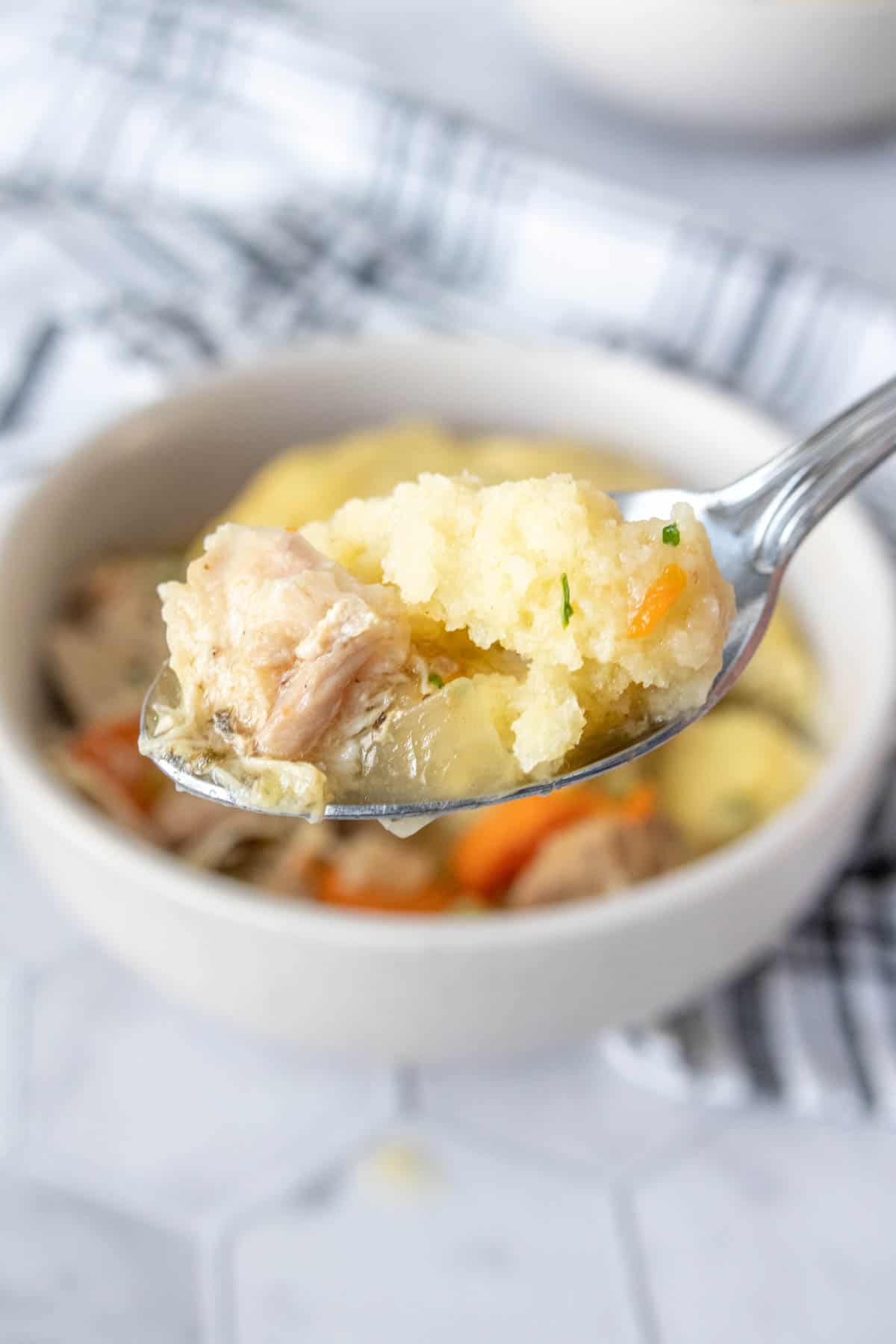 Spoonful of chicken and dumplings.