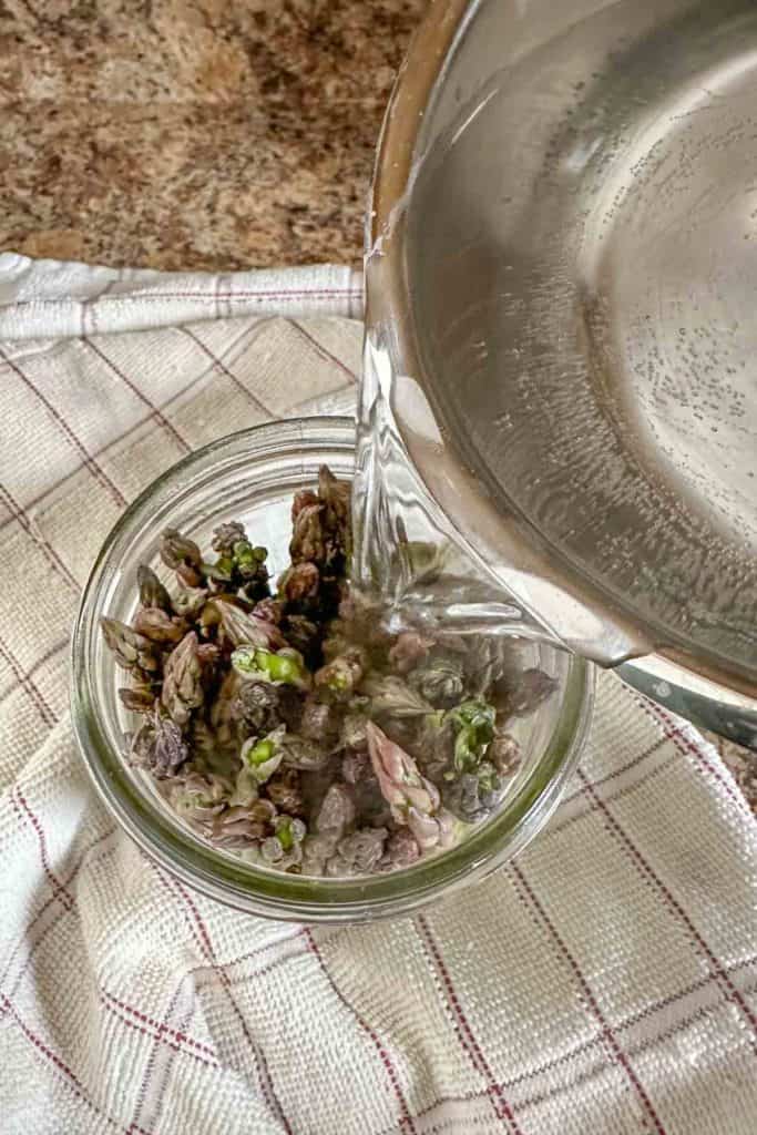 Pouring brine into asparagus for pickling.