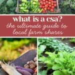 A collage showing a box of assorted vegetables, fresh root vegetables on a board, and leafy greens in a garden, with text explaining what is a CSA and highlighting the benefits of local farm shares.