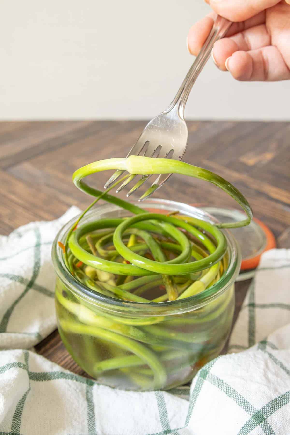 Caucasian hand holding up a pickled garlic scape with a fork.