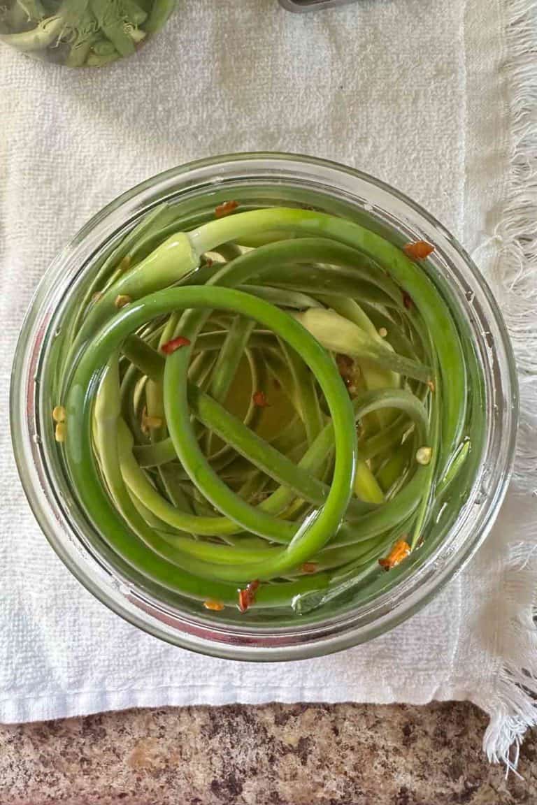 Pickled Garlic Scapes stetted