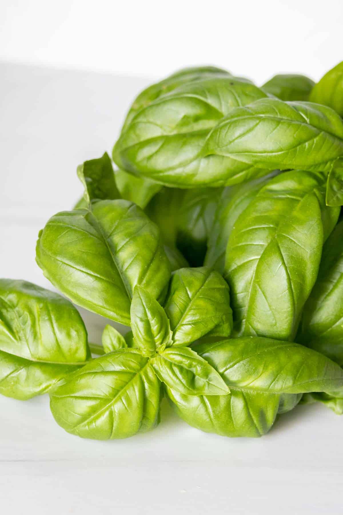 Fresh basil leaves.