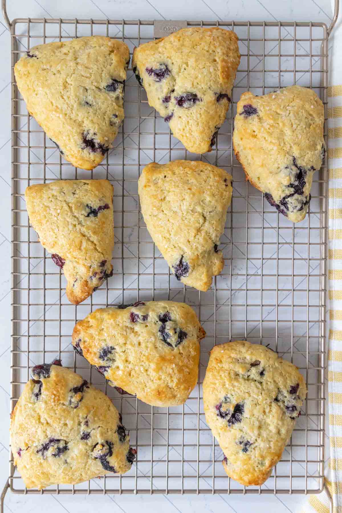 Blueberry scones on a wire cooling rack.