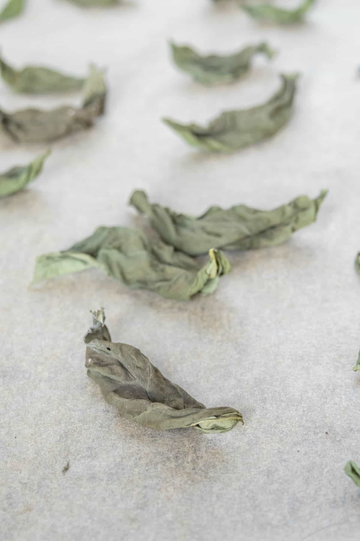 Whole dried basil leaves on parchment paper.