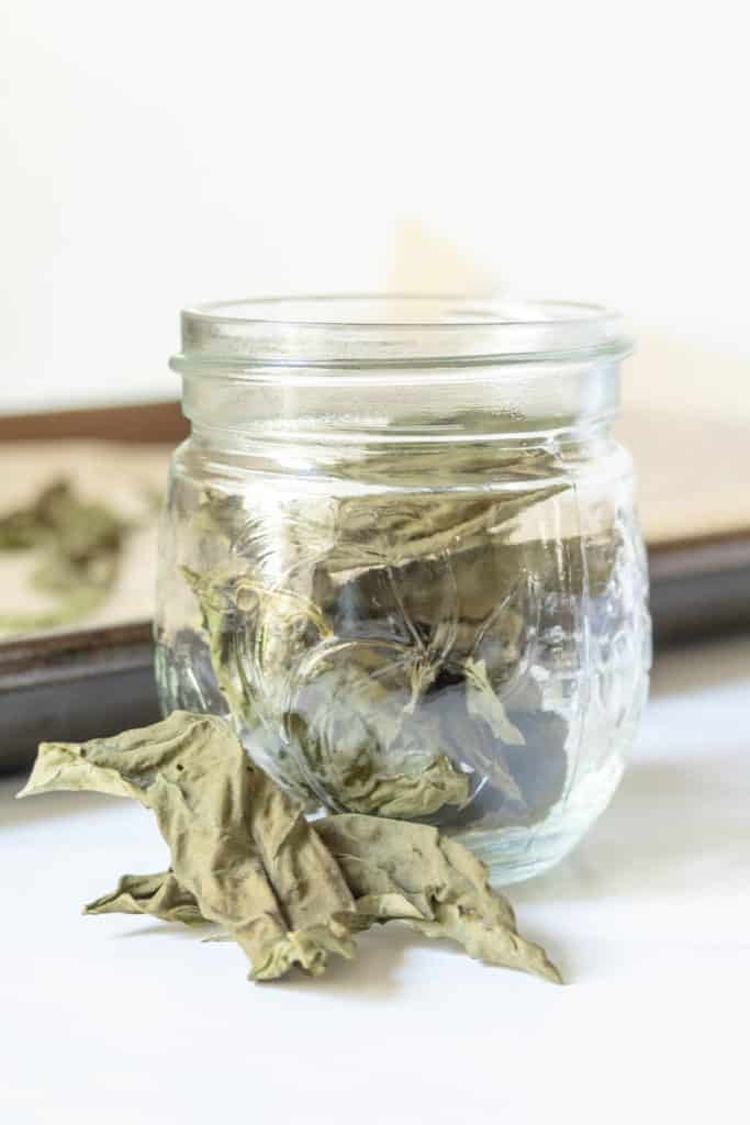 Dried basil leaves in a glass jar with some in front of the jar.