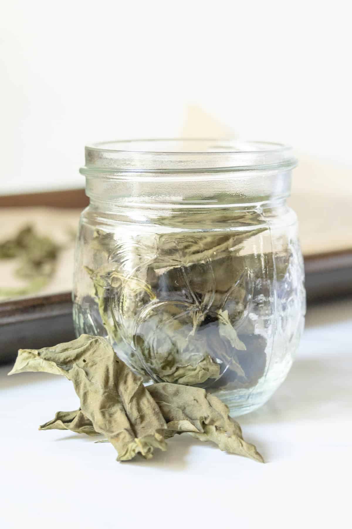 Dried basil leaves in a glass jar with some in front of the jar.