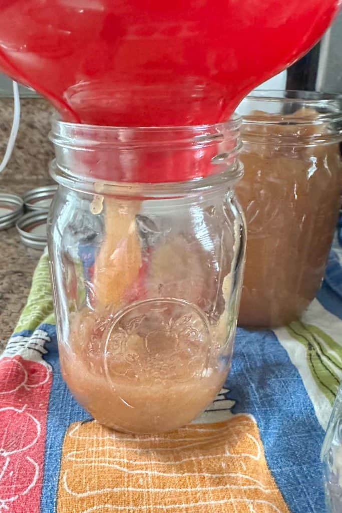A mason jar filled with apple butter.