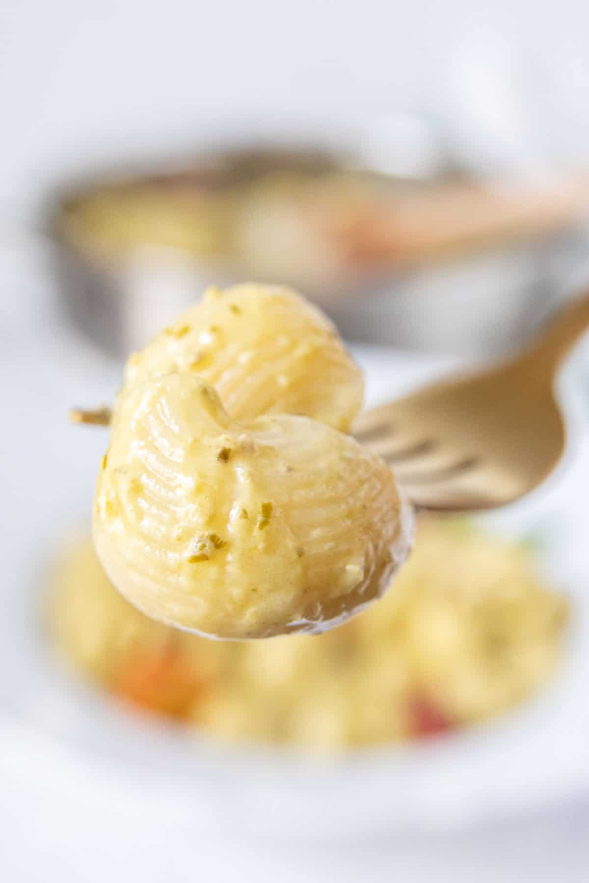 Close up of a pasta shell coated in creamy pesto sauce.