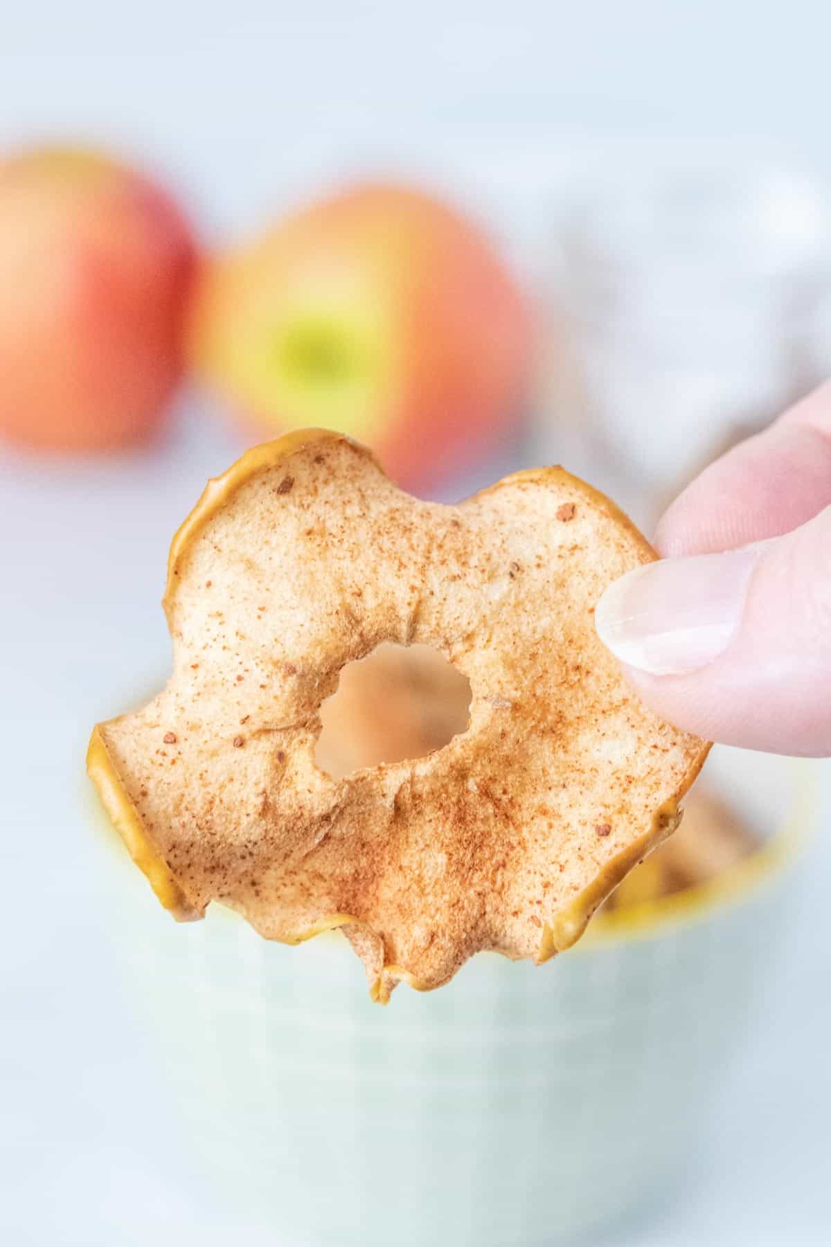 A person holding a dried apple slice.