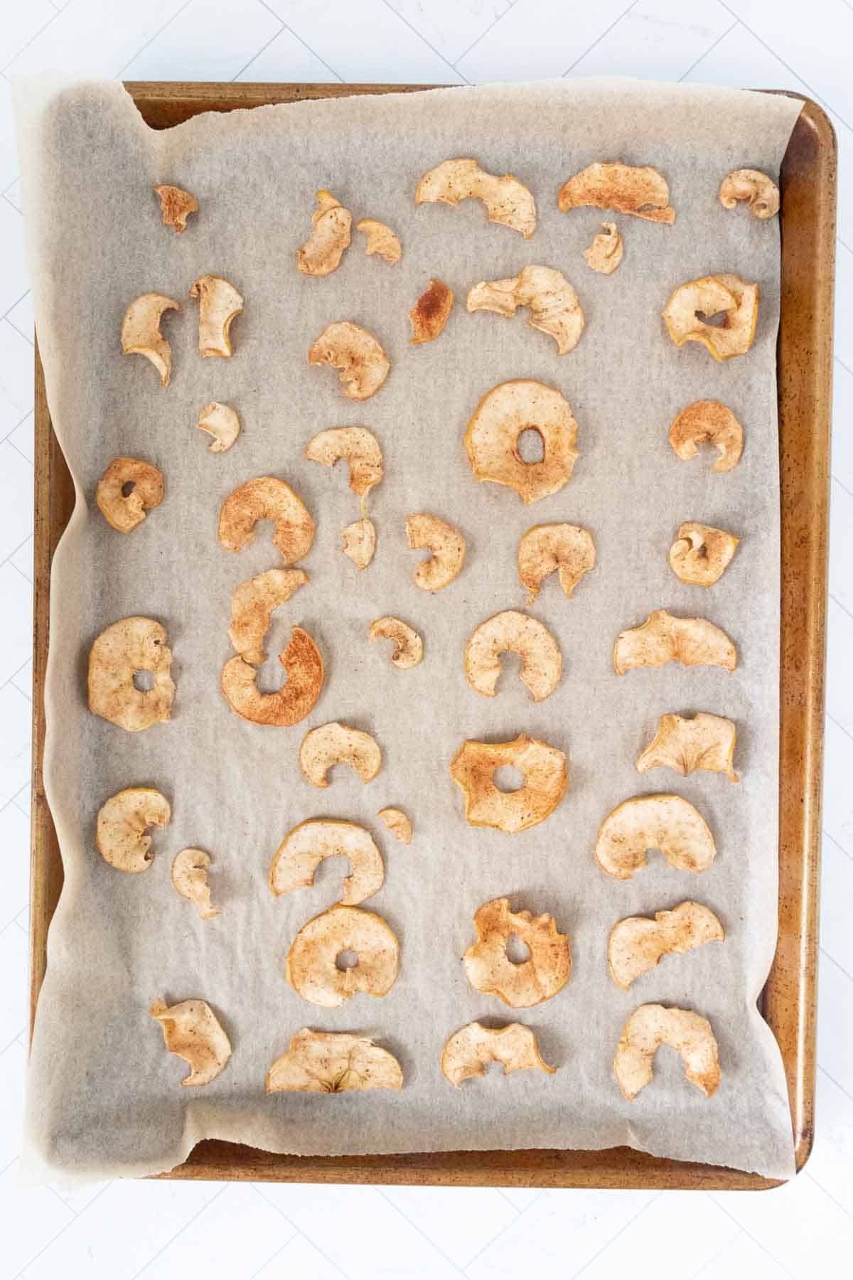 Apple chips on a baking sheet.