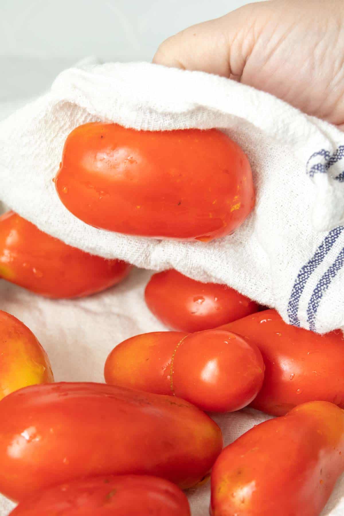 A person is holding a bunch of tomatoes on a towel.