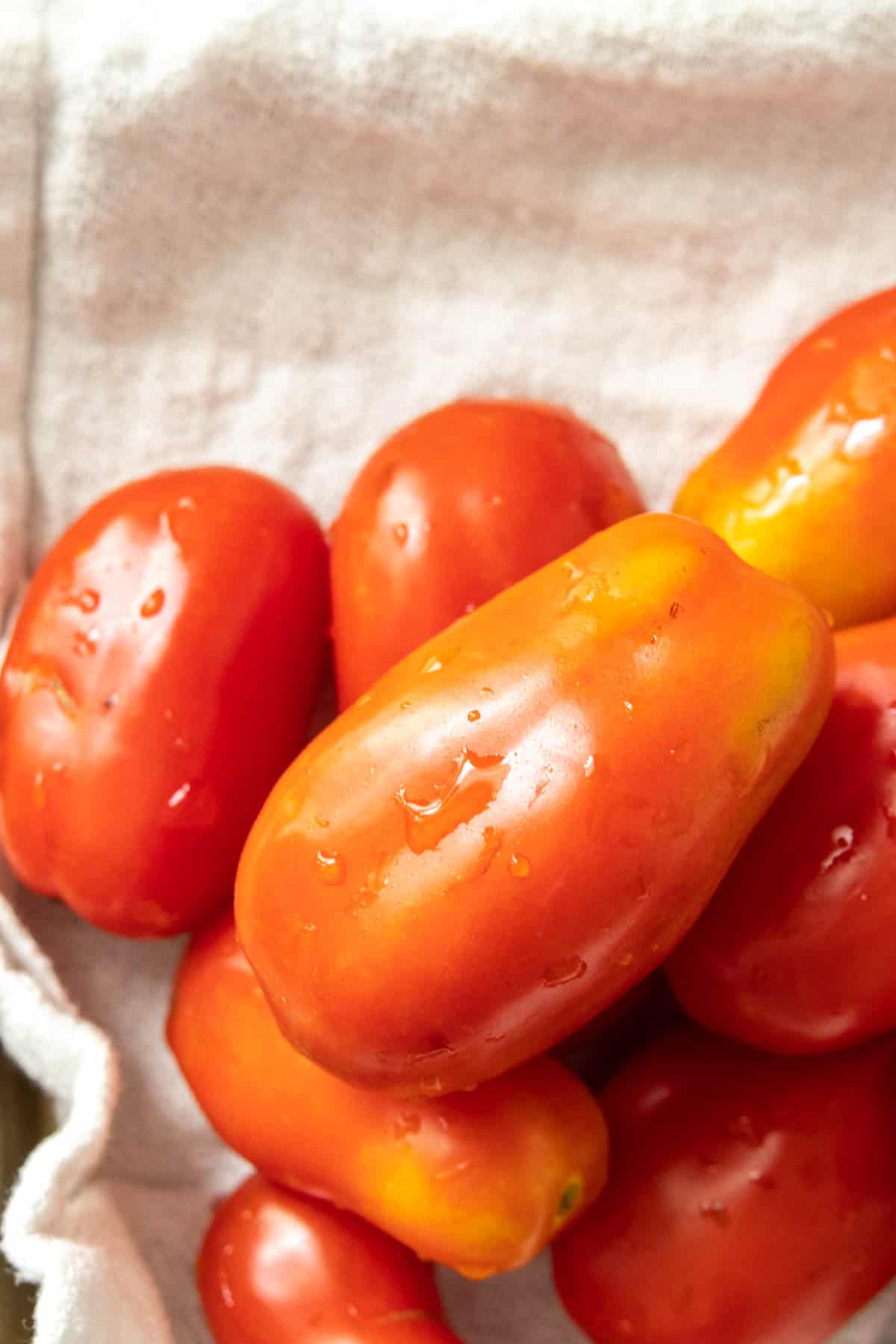 Ripe tomatoes on a white towel.