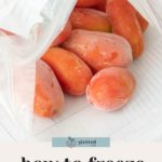 A resealable plastic bag filled with frozen Roma tomatoes, with text below that reads "how to freeze tomatoes for lasting freshness.