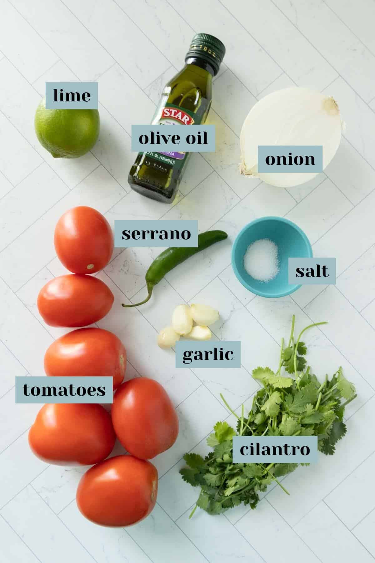 Ingredients for salsa with tomatoes, onions and garlic.