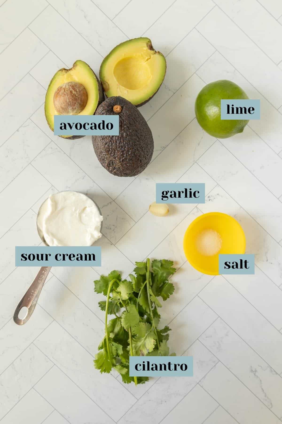Ingredients for avocado crema with avocado, cilantro and lime.