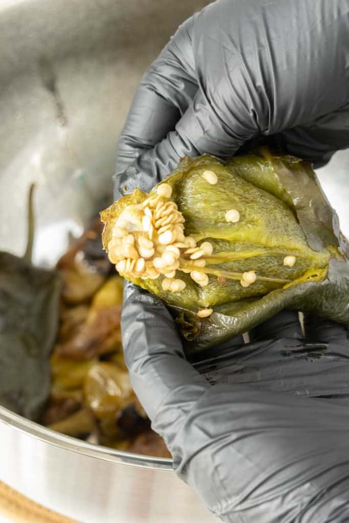 A person in black gloves is holding a green pepper in a pot.