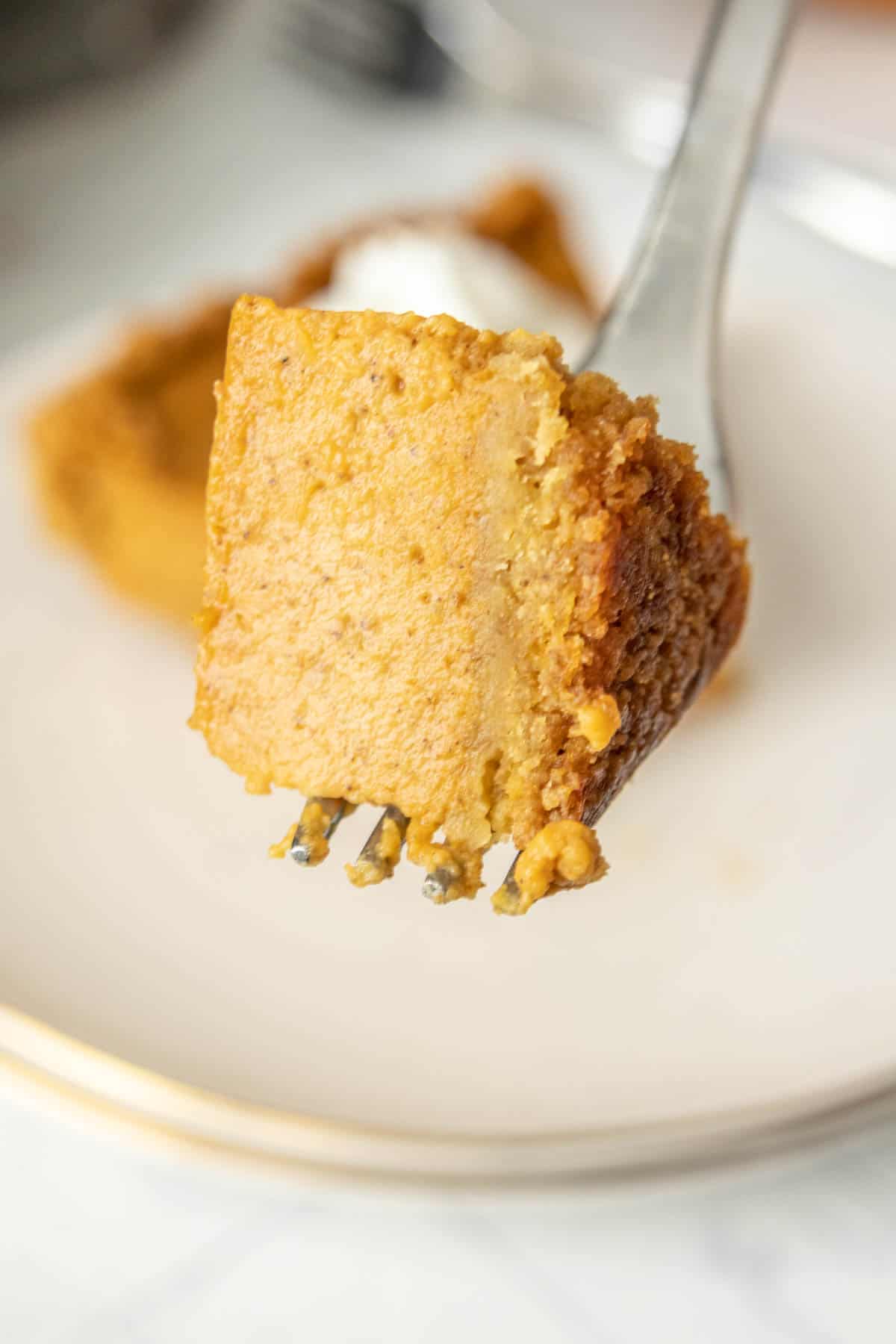 A piece of pumpkin pie on a fork.