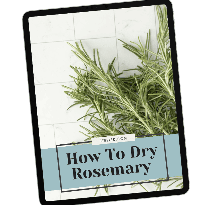 How to dry rosemary.