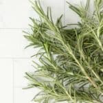 A bunch of rosemary on a white tile floor.