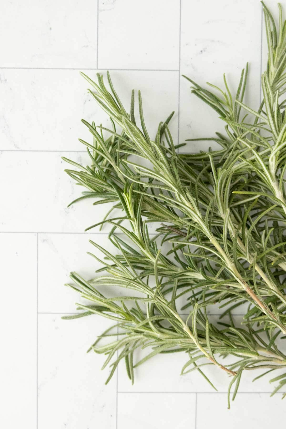 How to Dry Rosemary