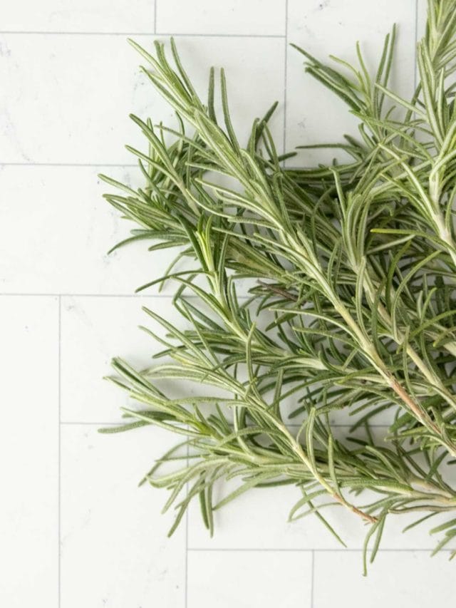 Drying Rosemary