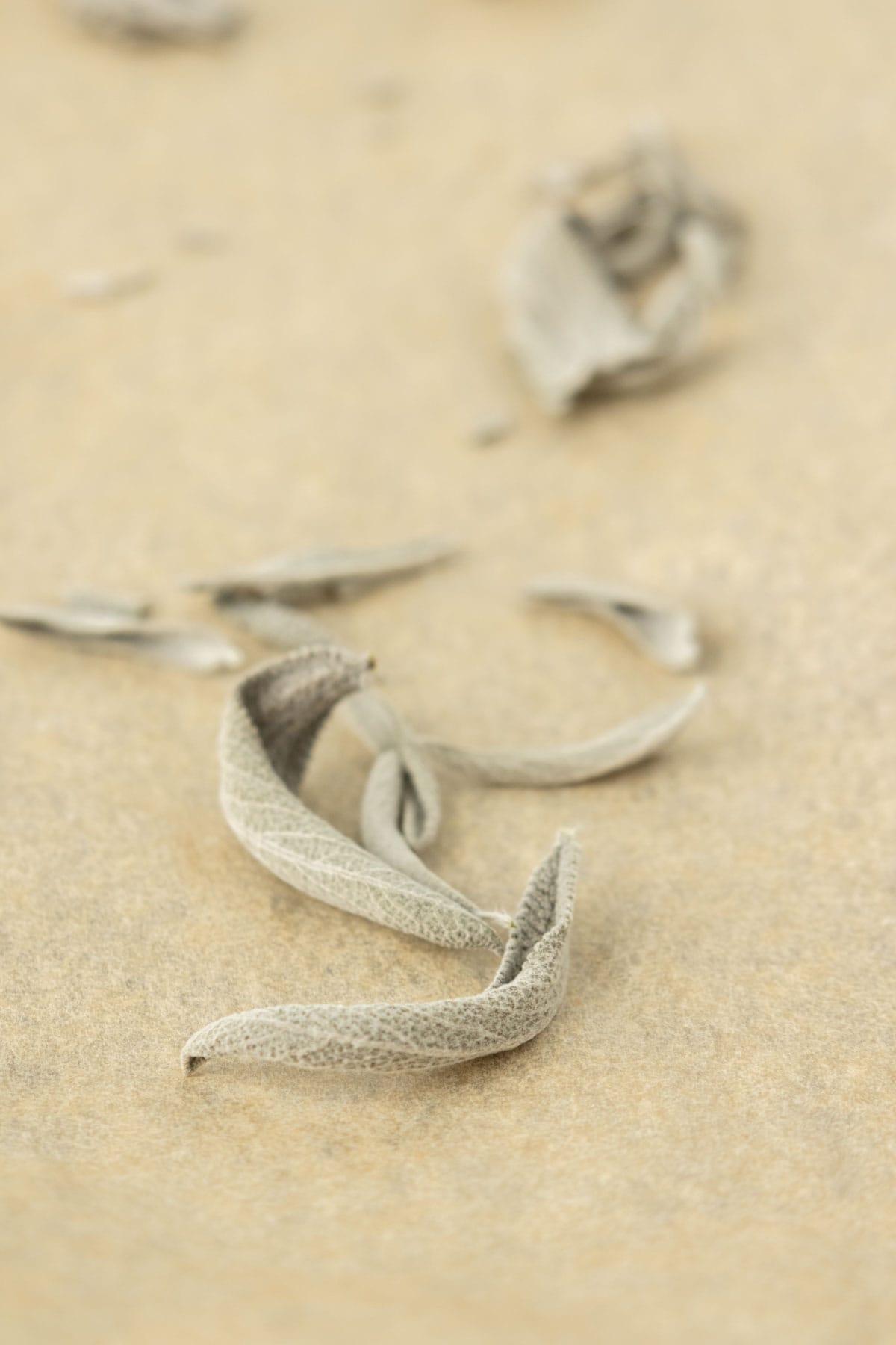 A bunch of dried leaves on a table.