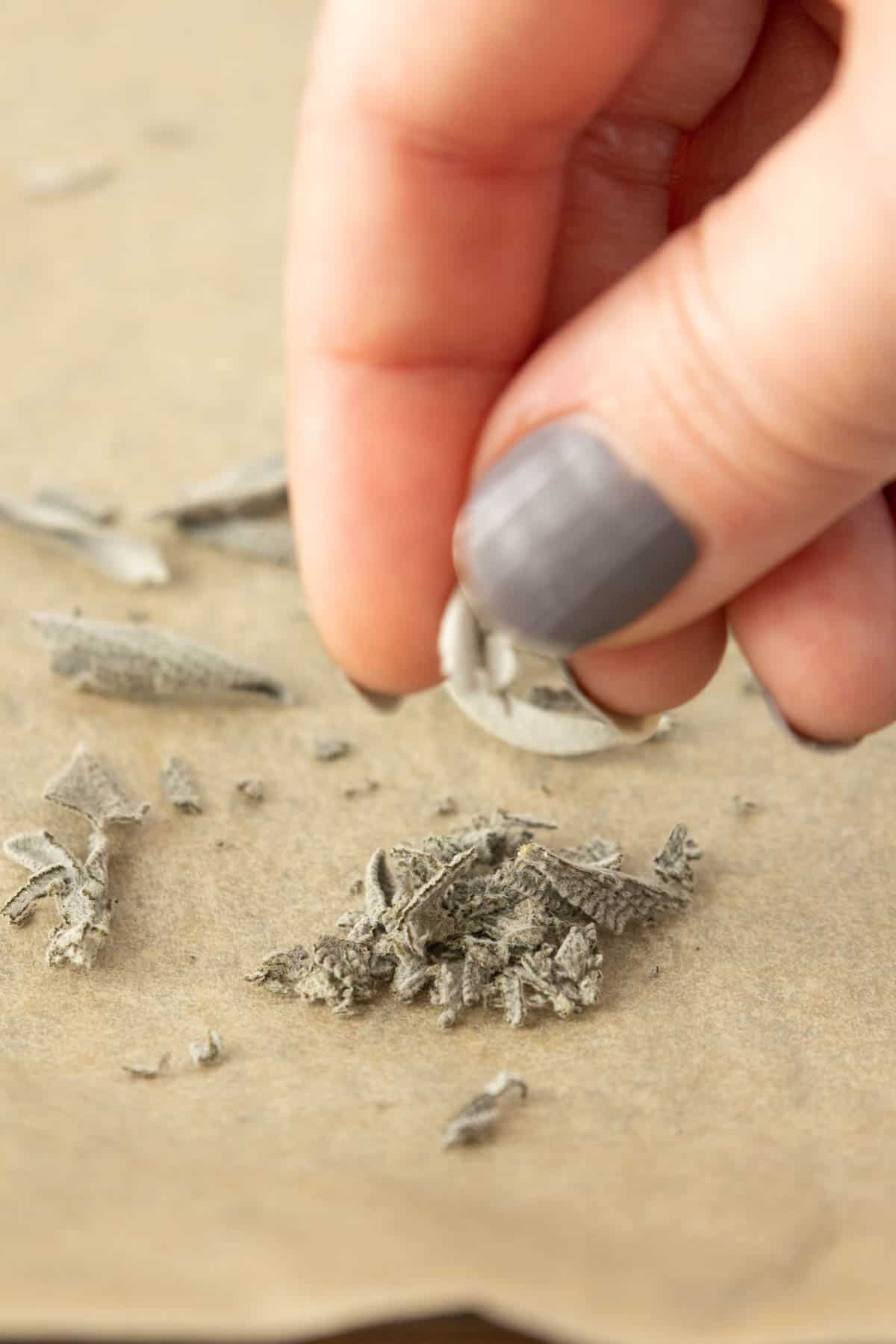 A person is rubbing dried sage leaves to crumble.