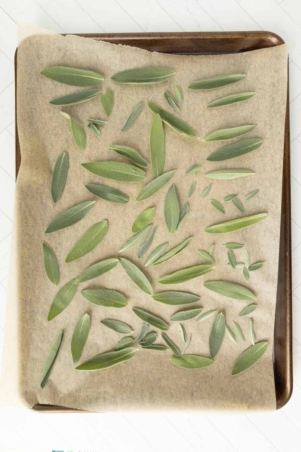 Sage leaves on a baking sheet.