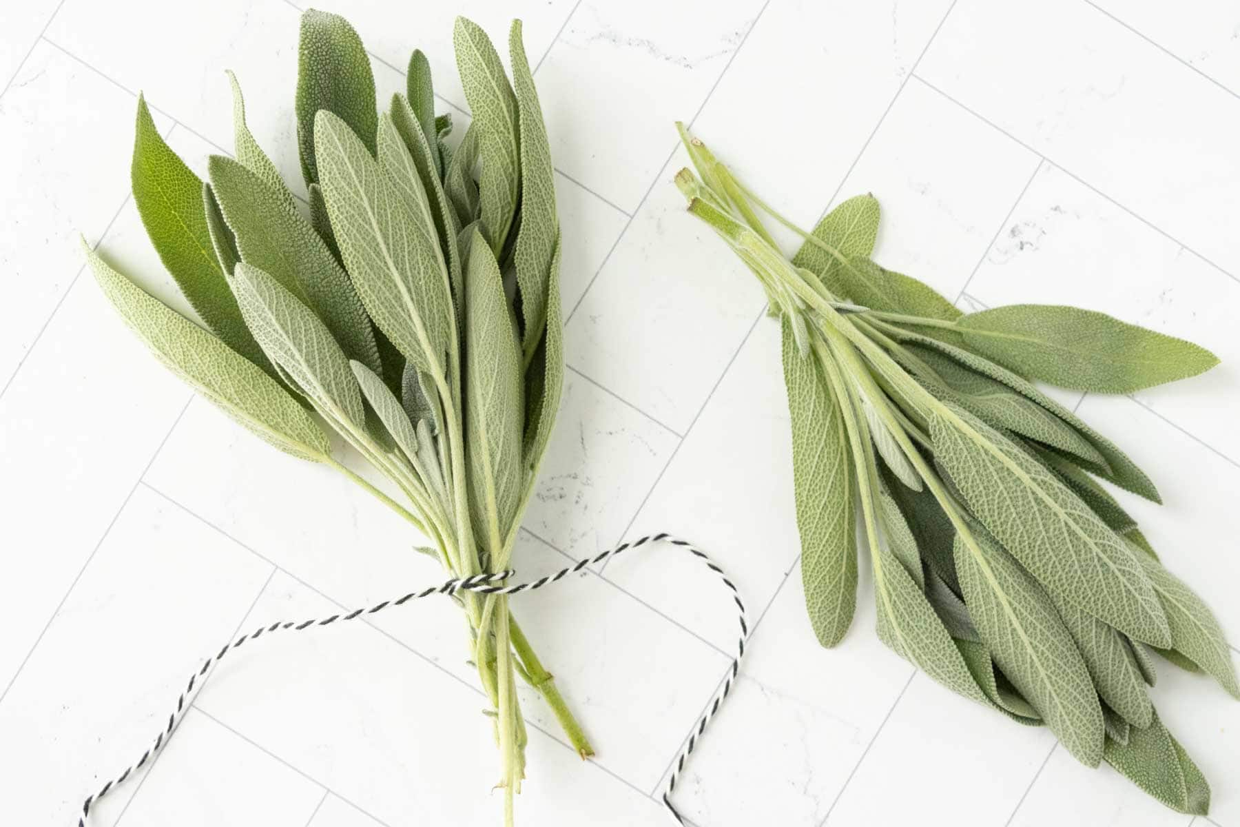 Two sage bundles tied together with a string.