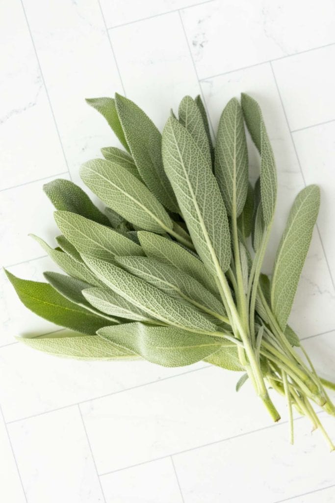 Sage leaves on a white tile floor.