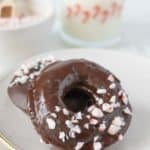 Two chocolate donuts with peppermint sprinkles on a plate.