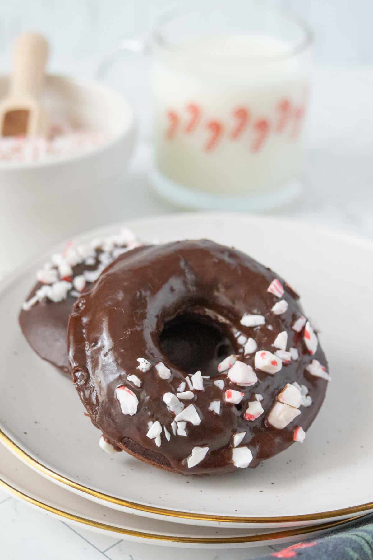 Two chocolate donuts with peppermint sprinkles on a plate.