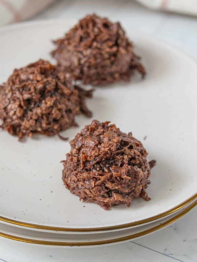 Chocolate Coconut Macaroons