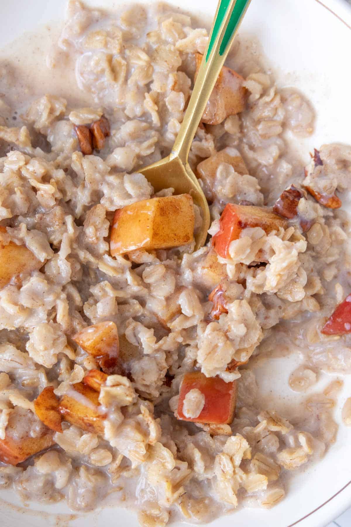 A bowl of oatmeal with apples and oats.