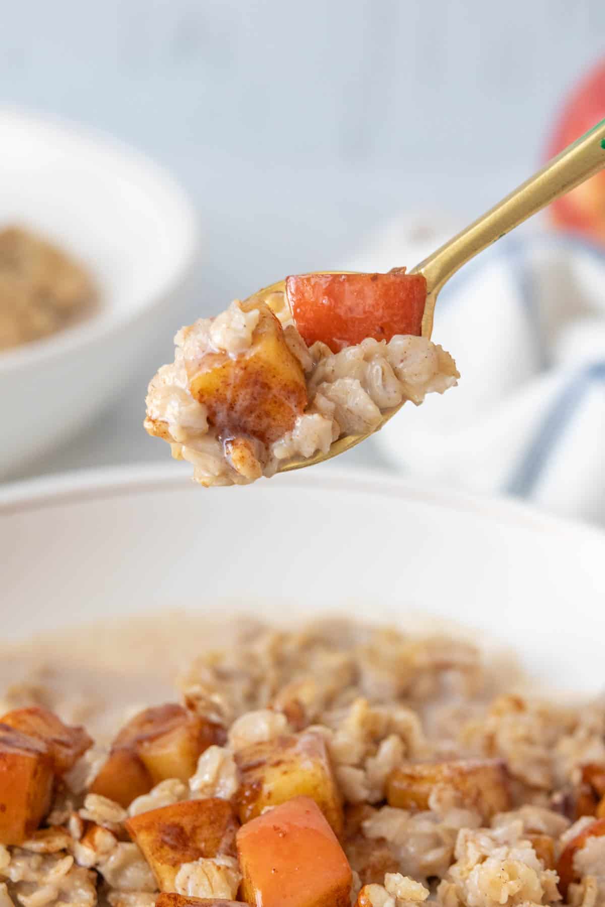 A spoonful of oatmeal with apples on it.