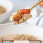 A spoonful of apple cinnamon oatmeal is held above a bowl, showcasing tender apple chunks and a sprinkle of cinnamon. Text overlay reads "apple cinnamon oatmeal.