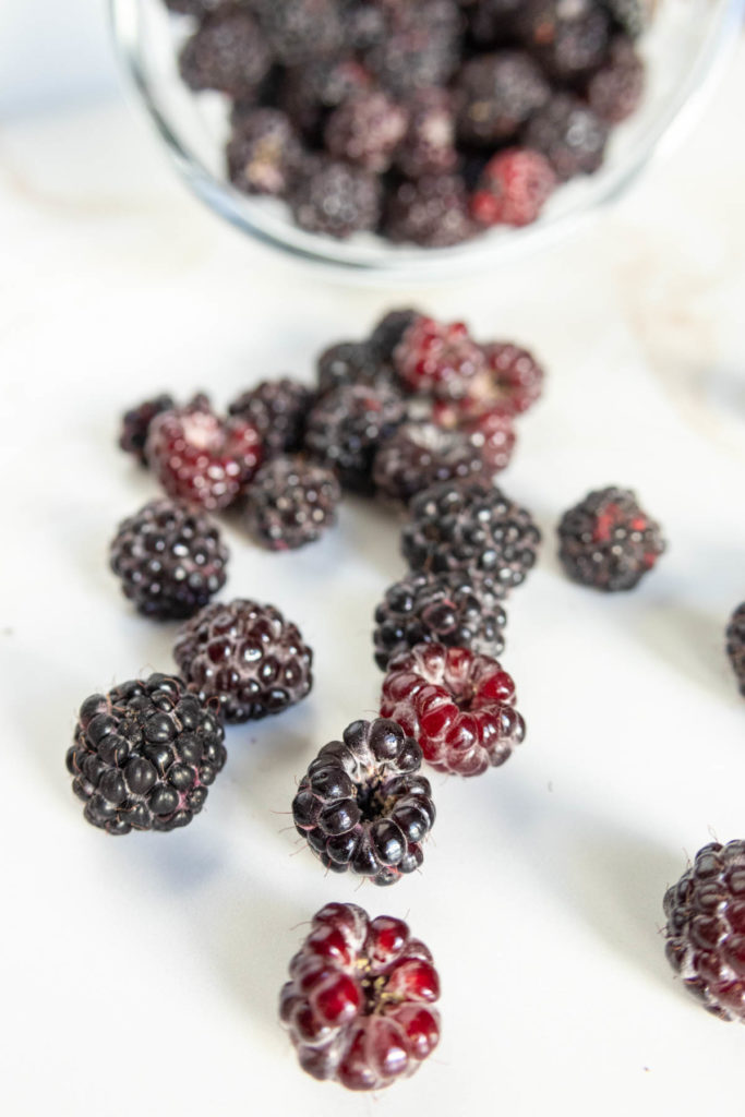 Black Raspberry Ice Cream