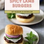 A plate holds delicious lamb burgers topped with red onion, cucumber, and sauce, finished with a mint garnish. Text overlay reads "Spicy Lamb Burgers. Get the recipe at stetted.com.