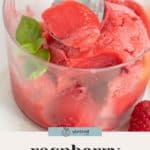 A glass cup filled with vibrant raspberry sorbet, garnished with a small sprig of basil and a metal spoon scooping the creamy raspberry sorbet.