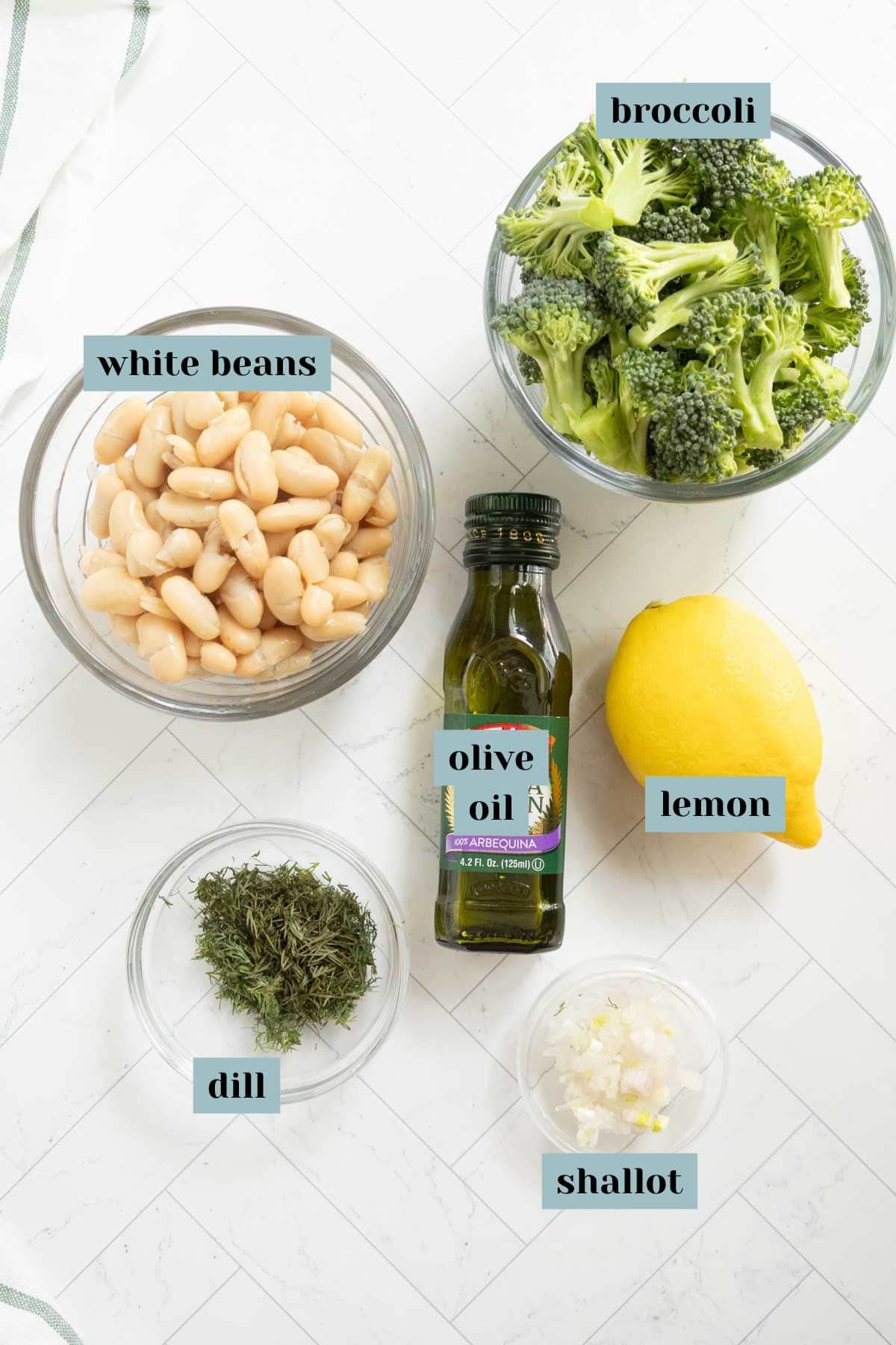 Bowls of white beans, broccoli, chopped dill, and minced shallot, with a bottle of olive oil and a whole lemon on a white surface. Labels identify each ingredient.