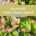 A close-up of broccoli and white bean salad on a plate with a fork. The text "broccoli white bean salad" is overlaid in the center.