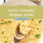 A pot of creamy lemon orzo garnished with herbs, with a wooden spoon resting in the dish and a block of Parmesan cheese nearby.