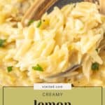 Close-up of creamy lemon orzo garnished with herbs, served on a wooden spoon, with text overlay reading "creamy lemon orzo" and website "stetted.com.