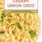 Close-up of creamy lemon orzo pasta garnished with chopped parsley, with a recipe banner overlay at the top of the image.
