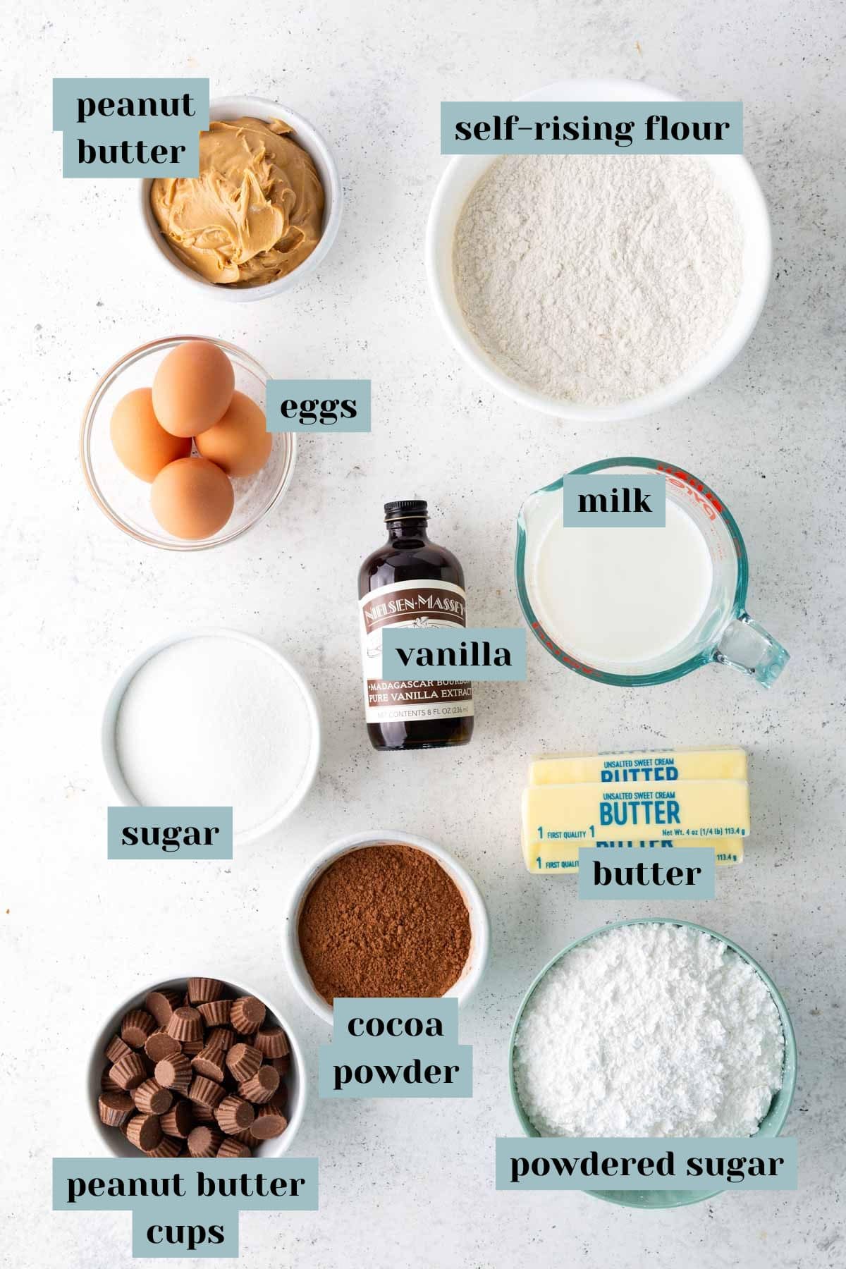 Ingredients for baking are arranged on a white surface, labeled as peanut butter, self-rising flour, eggs, milk, vanilla, sugar, butter, cocoa powder, peanut butter cups, and powdered sugar.