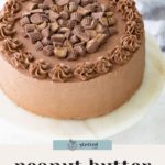A round chocolate-frosted cake topped with chopped peanut butter cups, displayed on a white surface. Text below reads "peanut butter cake.