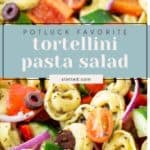 Close-up of tortellini pasta salad with cucumbers, red onions, tomatoes, olives, and peppers, labeled as a potluck favorite.